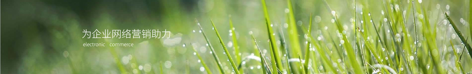 ݸֹ޹˾
